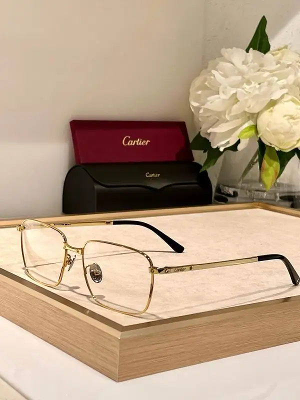 Cartier plain Glasses (82)